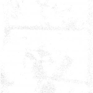 Xeno_02_0048.jpg