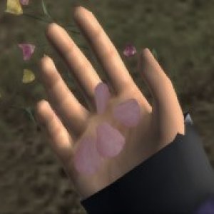 mcimg_7205.jpg
