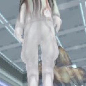 dtimg_1368.jpg